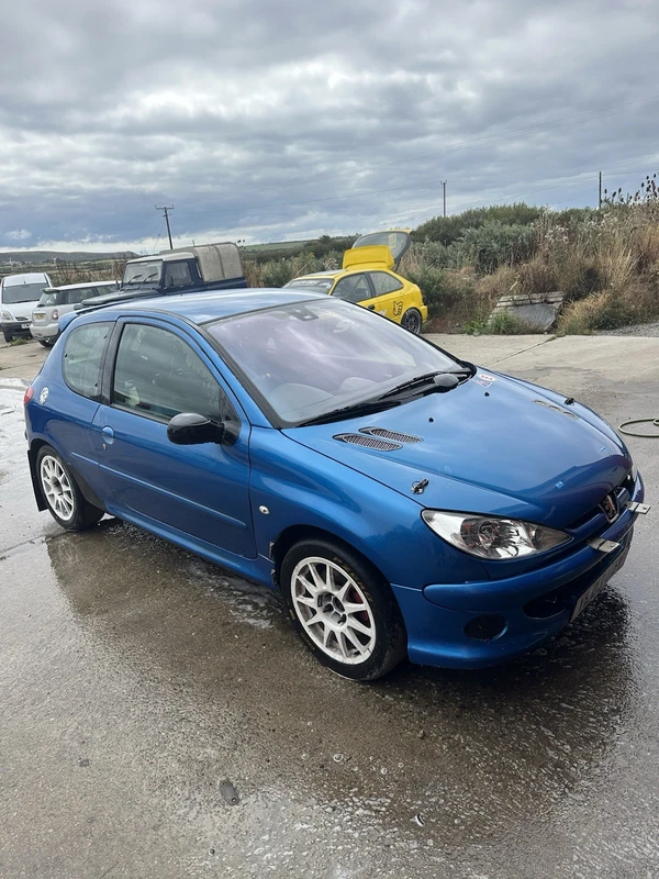 Peugeot 206 GTi 180 Rally Car