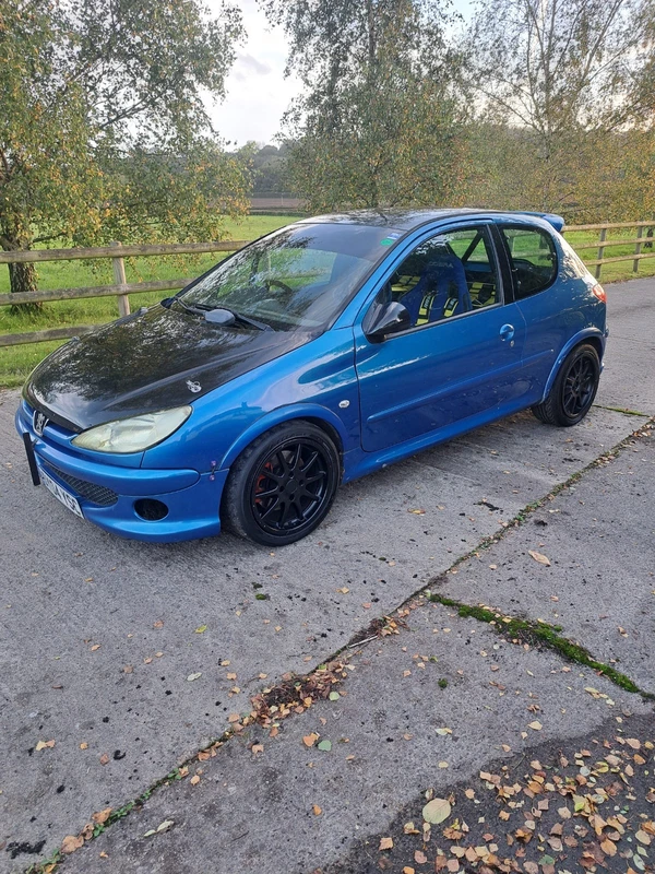 Peugeot 206 Gti 180 Track Car